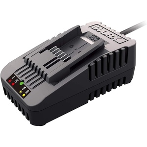 WORX WA3881 18V/20V 60 min Quick Charger, Black(60 min Quick Charger)